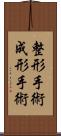 整形手術 Scroll