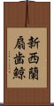 新西蘭扇歯鯨 Scroll