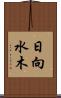 日向水木 Scroll