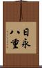 日永八重 Scroll