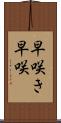 早咲き Scroll