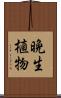 晩生植物 Scroll