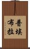 普埃布拉 Scroll