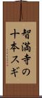 智満寺の十本スギ Scroll