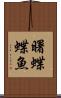 曙蝶蝶魚 Scroll