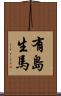 有島生馬 Scroll