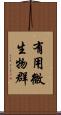 有用微生物群 Scroll