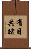 有目共睹 Scroll