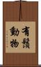 有鬚動物 Scroll
