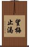 望梅止渴 Scroll