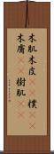 木肌 Scroll