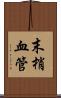 末梢血管 Scroll
