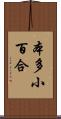 本多小百合 Scroll