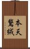 本天鵞絨 Scroll