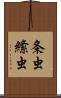 条虫 Scroll