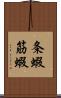 条蝦 Scroll