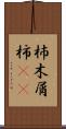 杮 Scroll