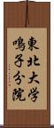 東北大学鳴子分院 Scroll