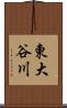 東大谷川 Scroll