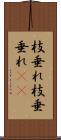 枝垂れ Scroll