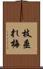 枝垂れ梅 Scroll