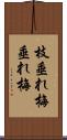 枝垂れ梅 Scroll