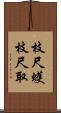 枝尺蠖 Scroll