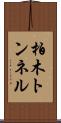 柏木トンネル Scroll