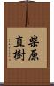 柴原直樹 Scroll