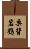 栗背岩鷚 Scroll