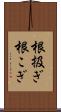 根扱ぎ Scroll