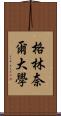 格林奈爾大學 Scroll