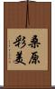 桑原彩美 Scroll