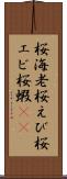 桜海老 Scroll
