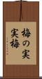 梅の実 Scroll