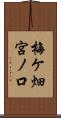 梅ケ畑宮ノ口 Scroll