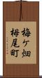 梅ケ畑栂尾町 Scroll