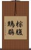 棕腹鶪鶥 Scroll