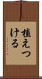 植えつける Scroll