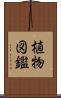 植物図鑑 Scroll