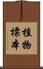 植物標本 Scroll