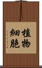 植物細胞 Scroll