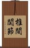 椎間関節 Scroll