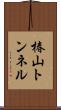 椿山トンネル Scroll