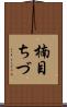 楠目ちづ Scroll