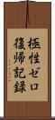 極性ゼロ復帰記録 Scroll