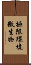 極限環境微生物 Scroll