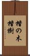 楷の木 Scroll