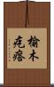 榆木疙瘩 Scroll