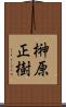 榊原正樹 Scroll